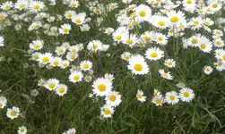 20180603_181339.webp