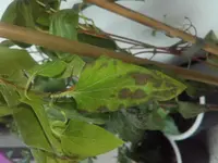 20180603_182045.webp