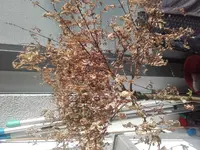 20180603_182133.webp