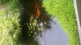 20180602_123656.jpg