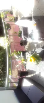 20180504_153810.webp