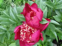 002_1024x768.JPG
