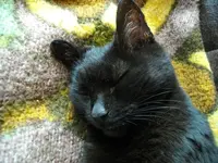 IMGP6258.webp