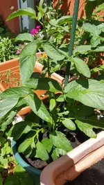 20180603_125651_resized.webp