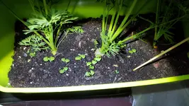 20180603_221351.webp