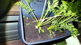 20180603_221323.webp