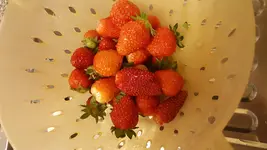 20180603_221213.webp