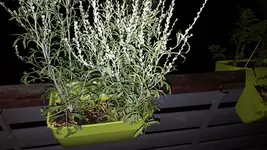 20180603_220925.webp