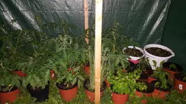 20180603_215532.webp