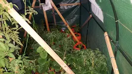 20180603_215353.webp