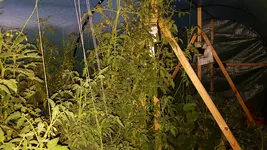 20180603_215309.webp