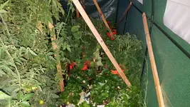 20180603_215301.webp