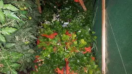 20180603_215254.webp