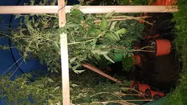 20180603_215218.webp