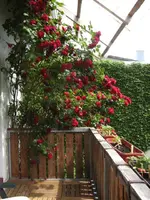 BILD9712.webp