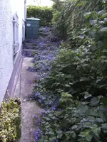 BILD9716.webp