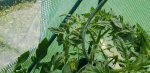 20180604_105120.jpg