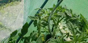 20180604_105120.webp