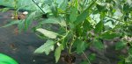 20180604_104839.jpg
