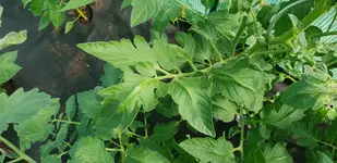 20180604_104829.jpg
