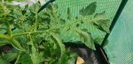 20180604_104748.jpg