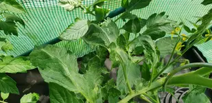 20180604_104732.jpg