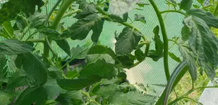 20180604_104725.webp