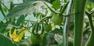 20180604_110019.jpg
