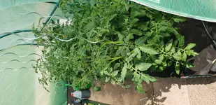 20180604_110006.jpg