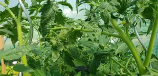 20180604_105209.jpg