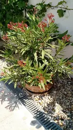IMG_20180604_103648444.webp