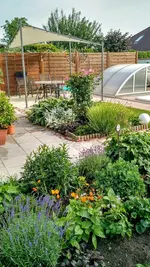 IMG_20180603_081914442_HDR.webp