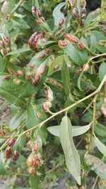 IMG_20180603_153400.webp