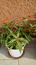 IMG_20180601_072146998.webp