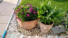IMG_20180601_072340442.webp