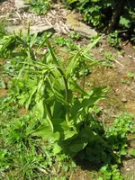 001_576x768.webp