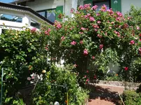 DSC03069.webp