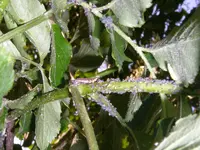 02_06_2018 (9).webp