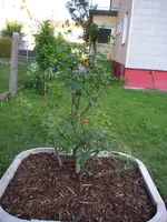 02_06_2018 (37).webp