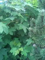 IMG_20180524_114617.jpg