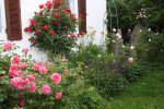 Garten Mai 2.jpg