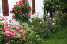 Garten Mai 2.webp