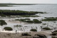 Urlaub 15.webp