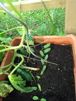 IMG_20180605_093839136.webp