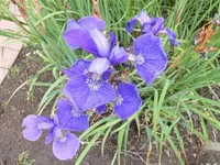 DSCI2979.webp
