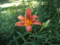 BILD9720.webp