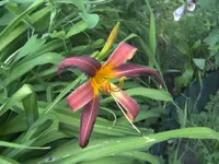 BILD9724.webp
