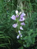 BILD9725.webp
