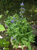 BILD9714.webp