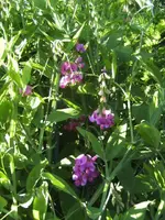 BILD9727.webp